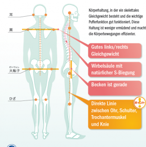 Skelettales Gleichgewicht